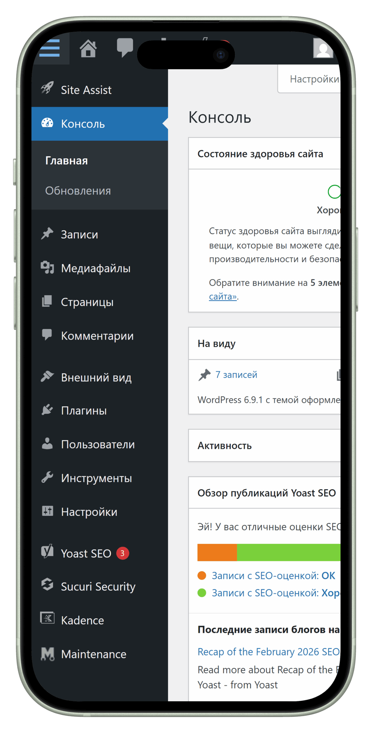 shopscript wp-admin_iPhone